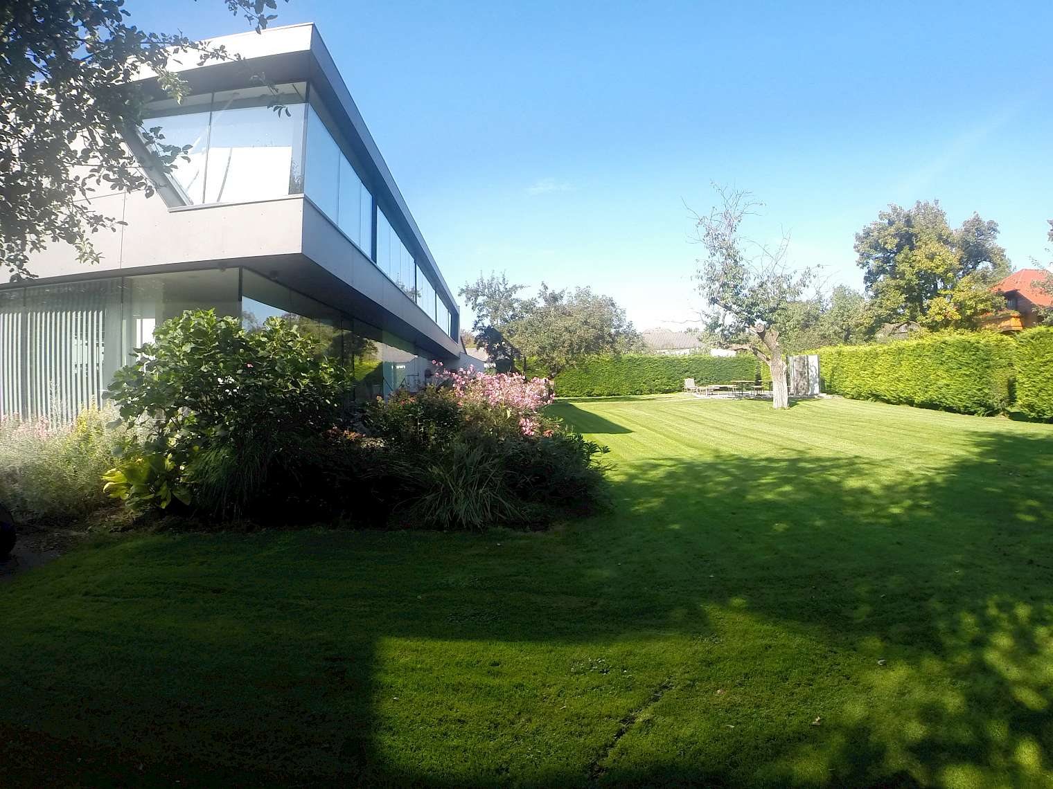 Working outdoors in the office garden